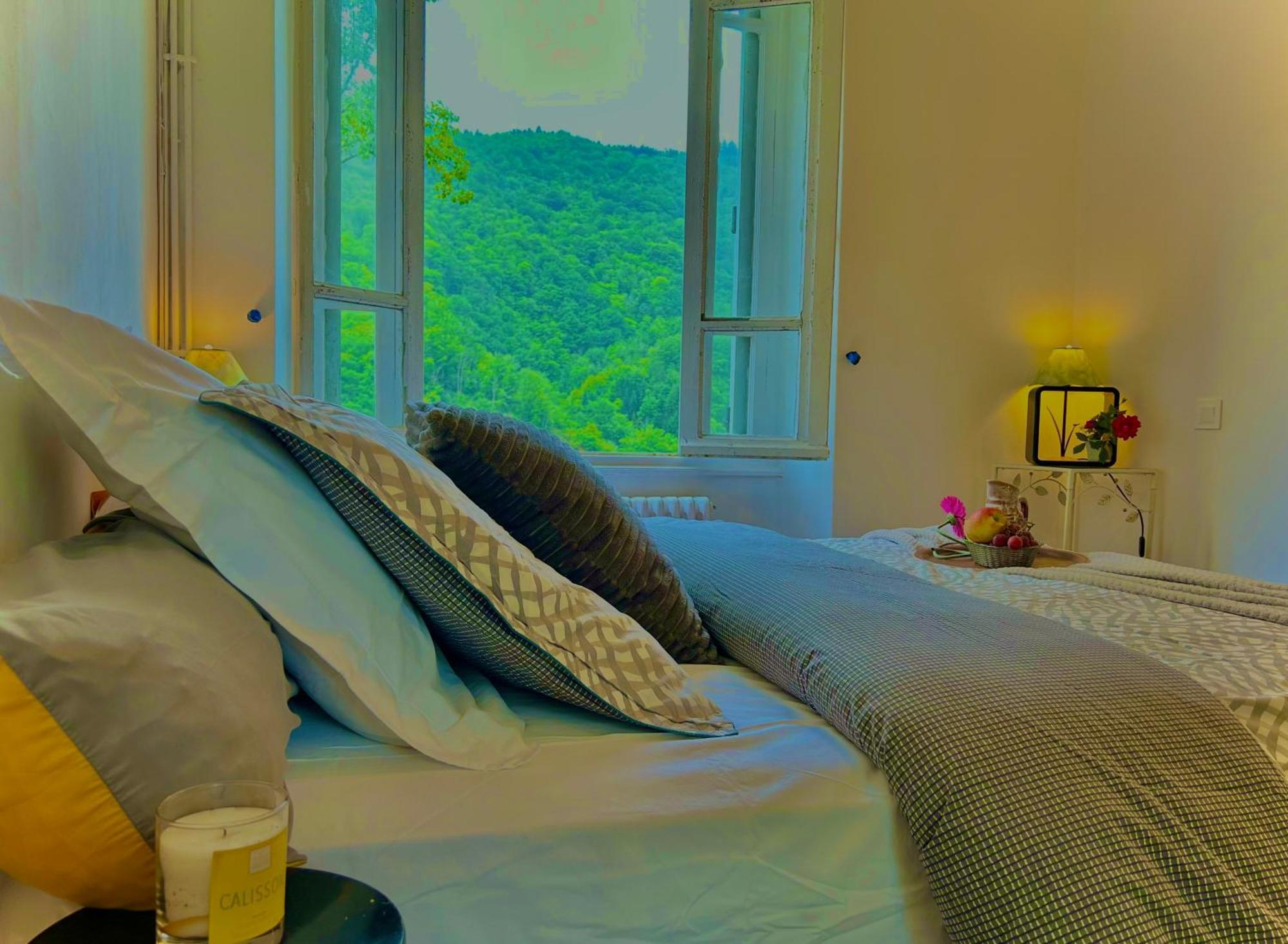 Le Chambon, Chambres D'Hotes Saint-Merd-de-Lapleau Ngoại thất bức ảnh