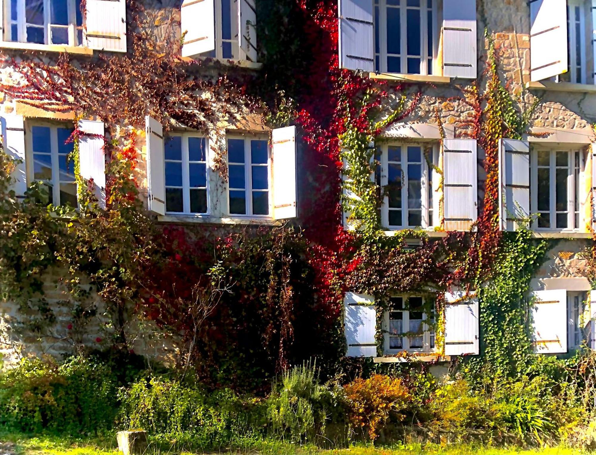 Le Chambon, Chambres D'Hotes Saint-Merd-de-Lapleau Ngoại thất bức ảnh
